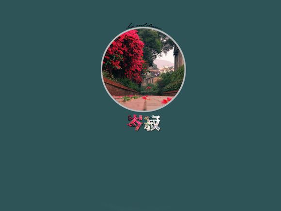 卫视通多少钱