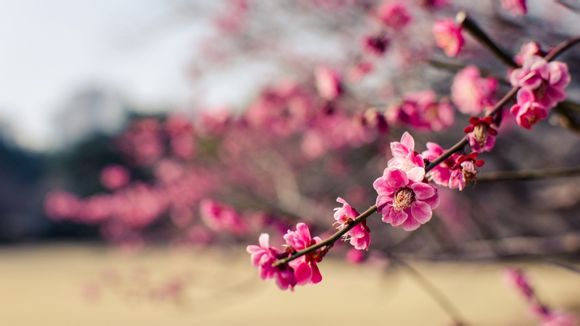 我是神枪手怎么玩