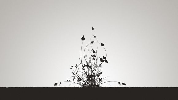 转发赚钱哪些收益高