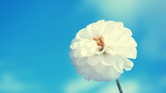 小米6评测软件有哪些