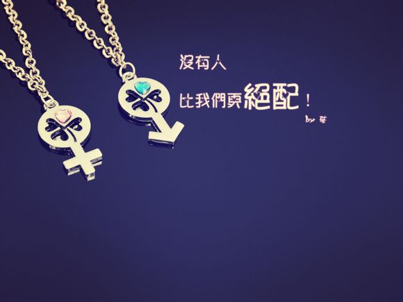 辅导猫使用手册辅导员版