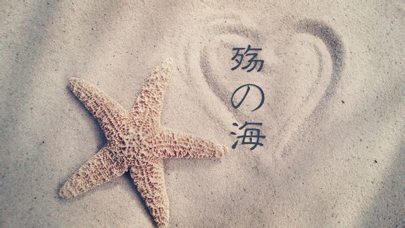 云付商户版怎么开通