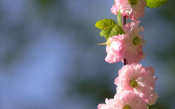 q币怎么充话费?